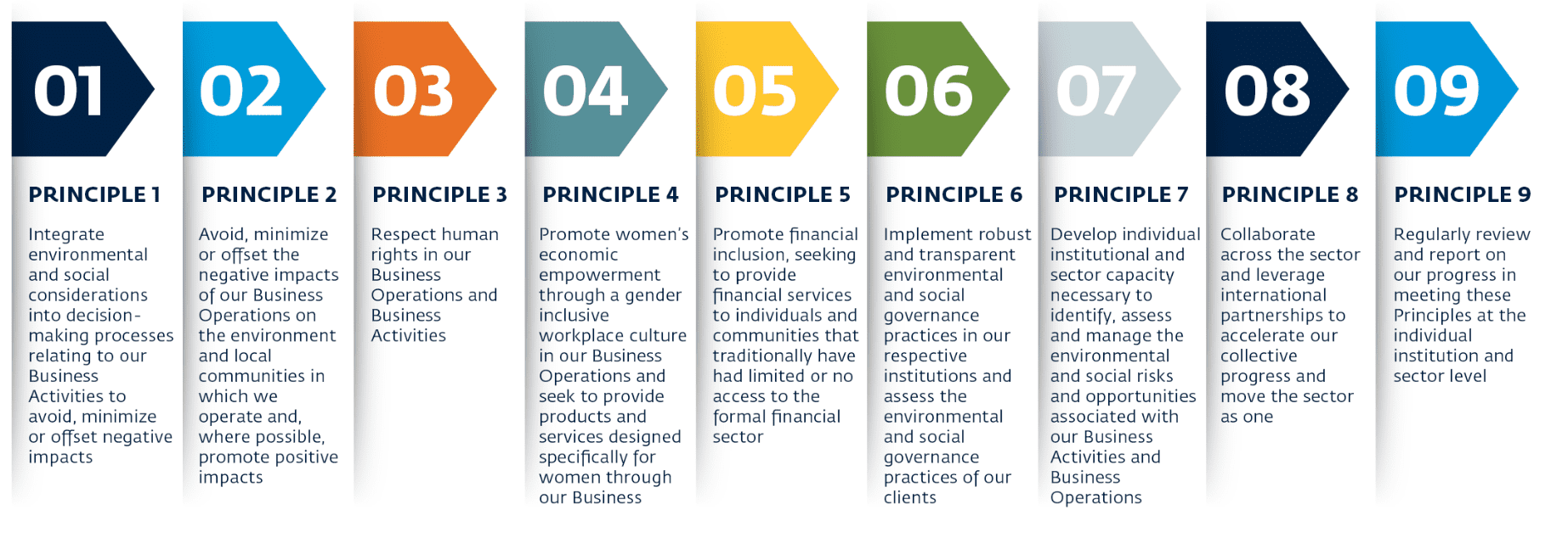 The Principles in detail