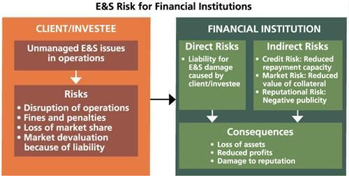 E&S Risk for Financial Institutions