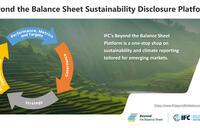 IFC Beyond Balancesheet