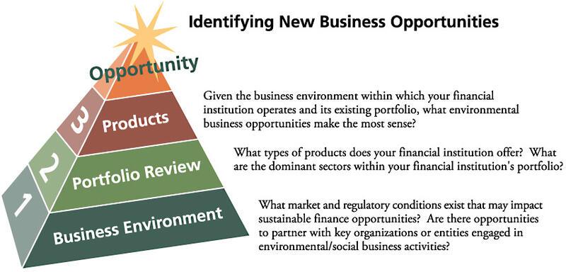 Portfolio Analysis and Market Scoping