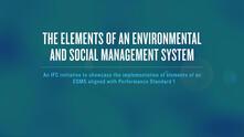 Elements of an Environmental & Social Management Systems (ESMS)