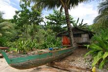 Corporate Finance: Forestry Products in Papua New Guinea